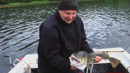 Pěkná treska obecná
