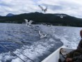 /album/a2011-norsko-norway/mc-korlin2011-34-jpg/