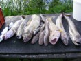 /album/a2011-norsko-norway/mc-korlin2011-35-jpg/